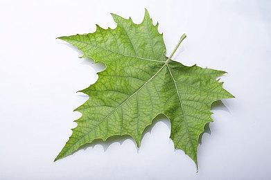 《暗黑破坏神3》第26赛季将新增“梦魇回响”活动